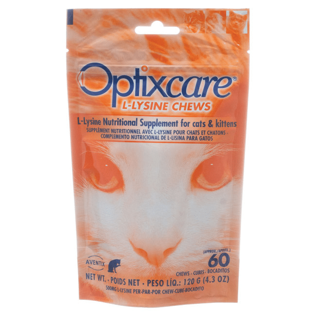 Lysine For Cats