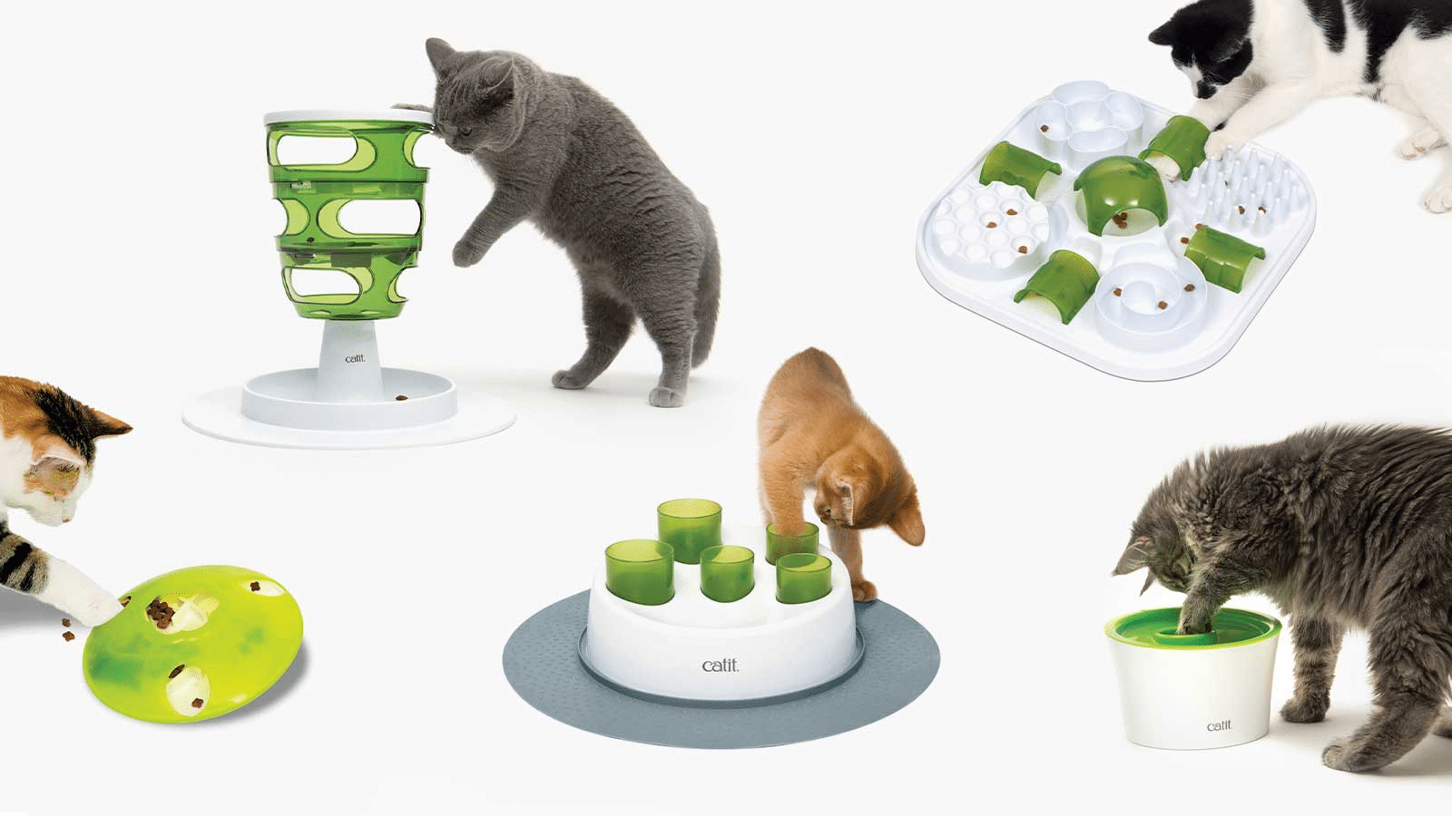 Best Slow Feeders For Cats