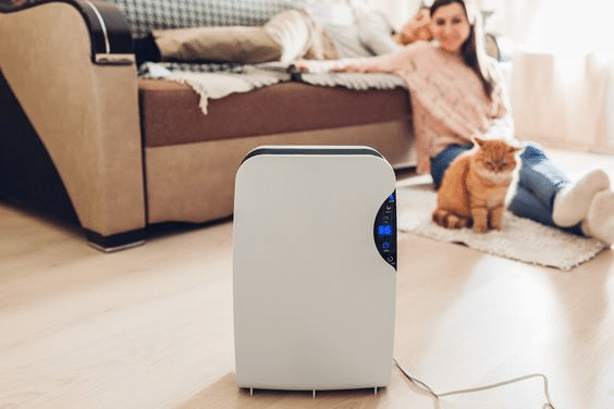 Best Air Purifier for Cats