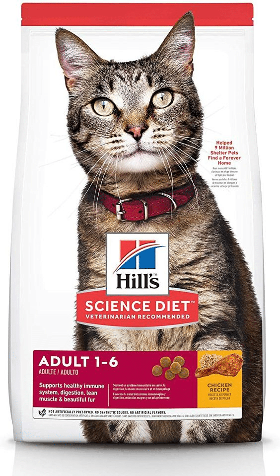 Hill’s Science Diet Dry