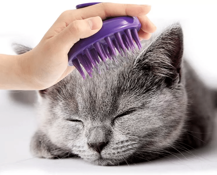 CeleMoon Cat Grooming Brush