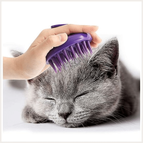 Washable Cat Grooming Brush